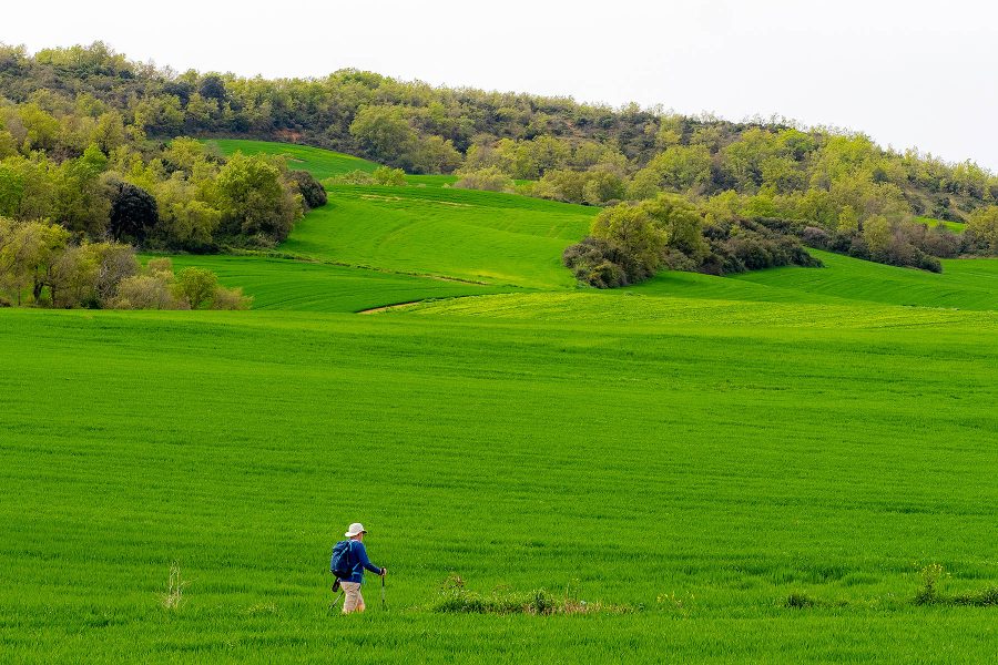 Camino03
